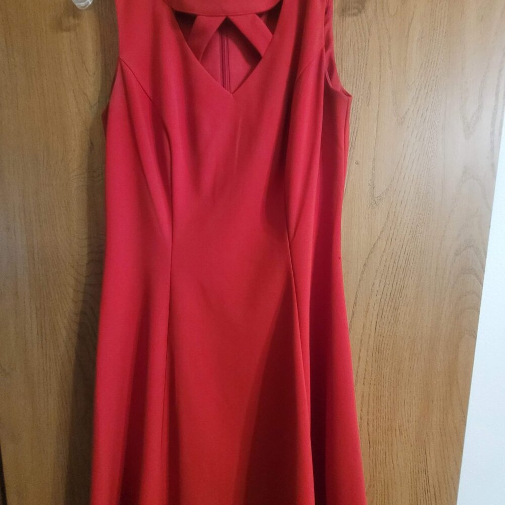 Roz & Ali  Red  A line Dress